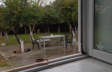 ΆΘΟΣ (ATHOS) - Foto 28