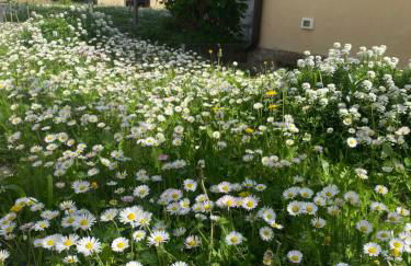 Casa Vacanza Alle Pratoline covered parking for bicycles and motorcycles - Foto 20