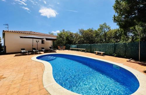 Teules CostaBravaSi - Foto 22