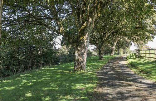 Middle Barn - Foto 21