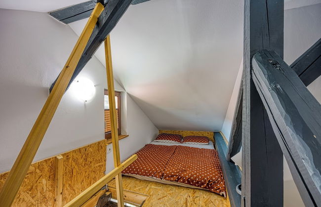 Spa Apartment Tinca - Foto 3