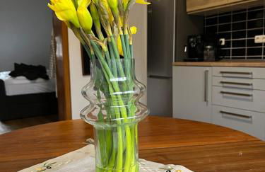 Dachgeschosswohnung im 3-Städteeck - Foto 13