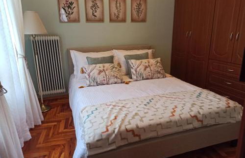 Konitsa Primula - Photo 17