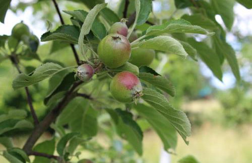 Landhaus Almyssen - Foto 44