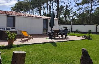 A PINTEGA DAS DUNAS - Foto 2