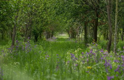 SAQA Organic Farm - Foto 28