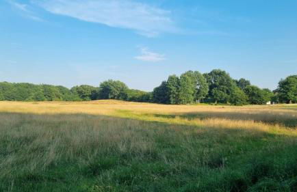 Wunderschöne Wohnung im Grünen - Foto 24