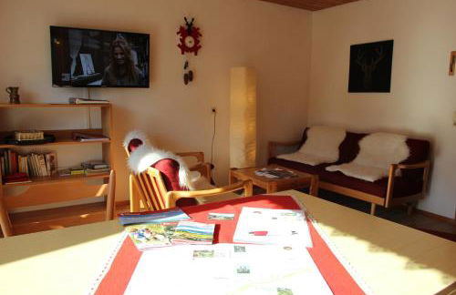 Steiert Panorama Apartments Todtnau - Foto 50