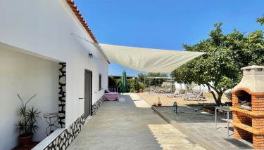 Andorinha Levante - Foto 4