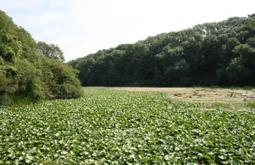 Ivy Tower Cottages - Foto 18