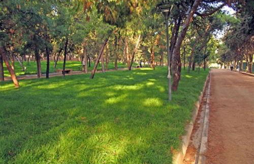 The Grove House - Foto 36