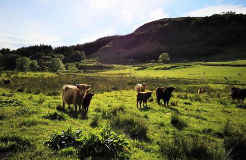 Achalic Beag - Foto 10