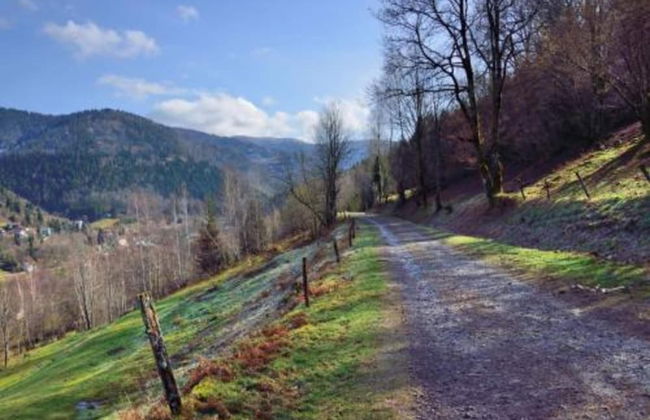 Chalet in St Maurice Near Ballon D'alsace - Foto 32