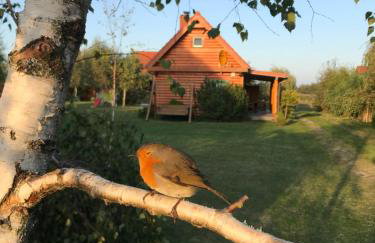 Liwia Park - Foto 11