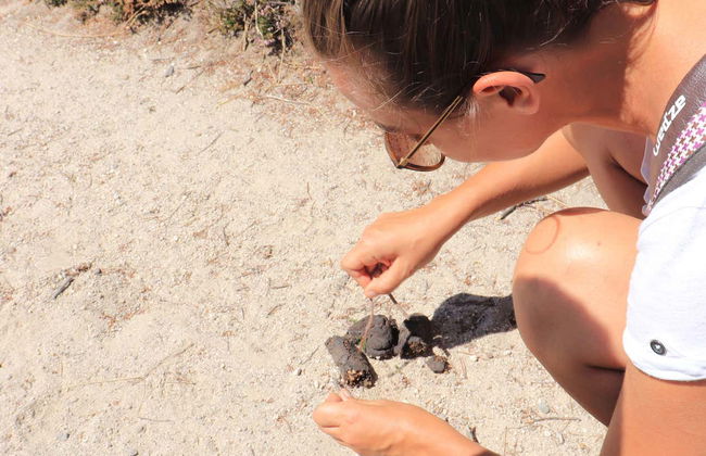 Senderismo por el Parque Natural do Alvão - Foto 2
