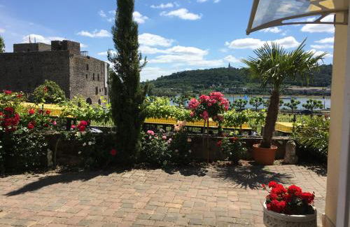 Ferienwohnung „Die 3 am Rhein“ - Foto 4