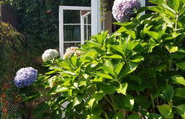 Casa Magda - Foto 31