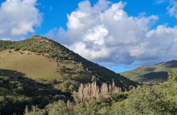 Sierra de Aracena Cala Huelva Casa Rural - Foto 70