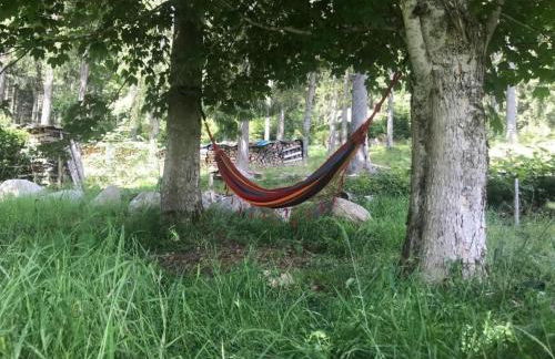 Holiday Home Schluchseehuus by Interhome - Foto 21