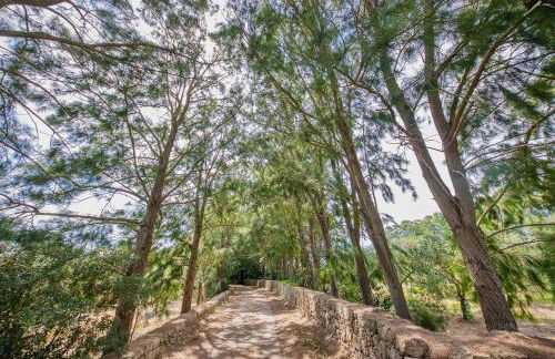 Torre Casciani - Foto 40