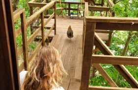 Vale da Silva Villas - Quinta - Foto 11