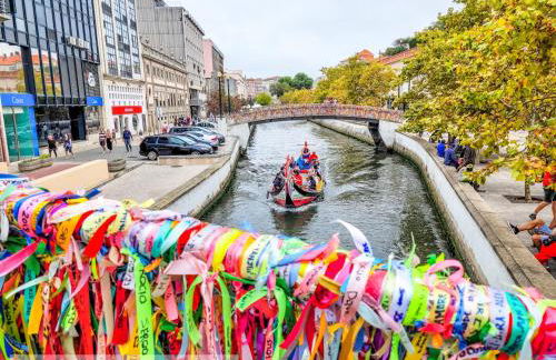 Quinta das Águias - Foto 13