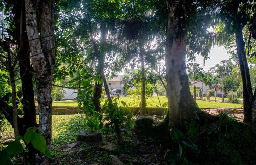 Chácara Recanto do Sossego - Photo 36