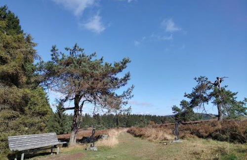 Ferienwohnungen Ambiente-Schmidt - Foto 15