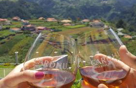 Quintinha do Álvaro - Holiday house - Foto 38