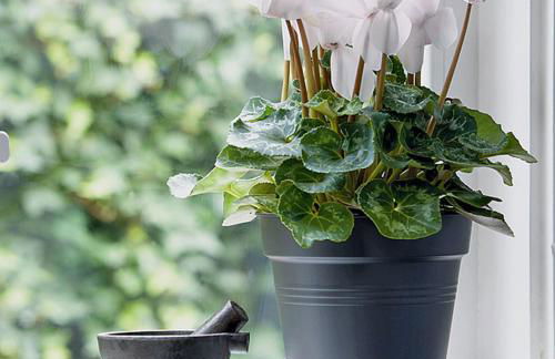 50 Papiniano apartment - Foto 30