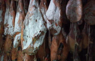 Agua de mayo - Foto 25