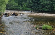 Regina apartment in Fort William - Foto 47