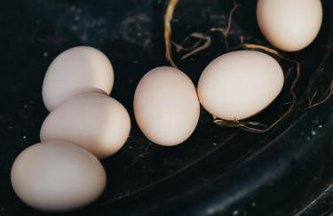 Siedlisko Słoneczny Jar - Foto 31