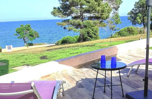 Pieds dans l'eau - La Villa Crique aux tortues - Foto 22