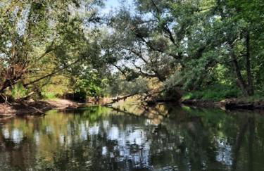 Ferienwohnung Schwörer bis 7 Personen - Foto 25