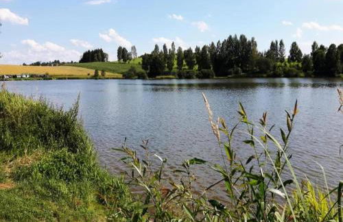 Quiet Cottage Near Trails - Foto 37