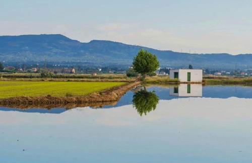 Casa2patis - Foto 43