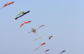 Residence Torcello - Foto 38