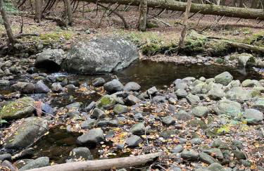 Twin pines 3 - Foto 25