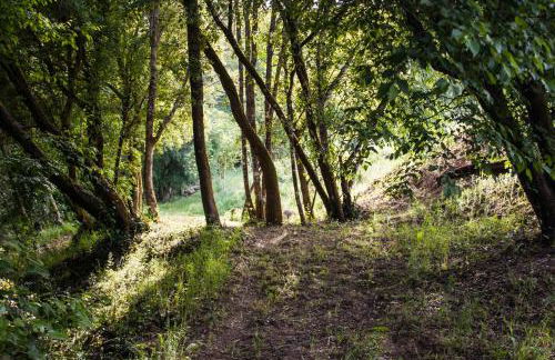 mulino della rivolta - Foto 41