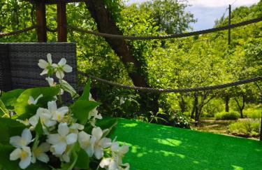 UNDER THE GREEN ROOF - Foto 17