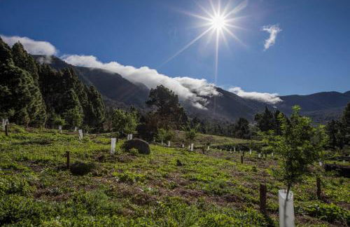 CHL Mayoysa, vista mar en Breña Baja, La Palma - Foto 14