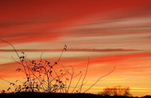 Kinloch House Hotel - Foto 18