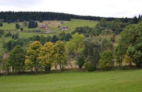 Orle Gniazdo - Foto 43