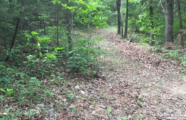 Cherokee mountain log cabin resort - Foto 54