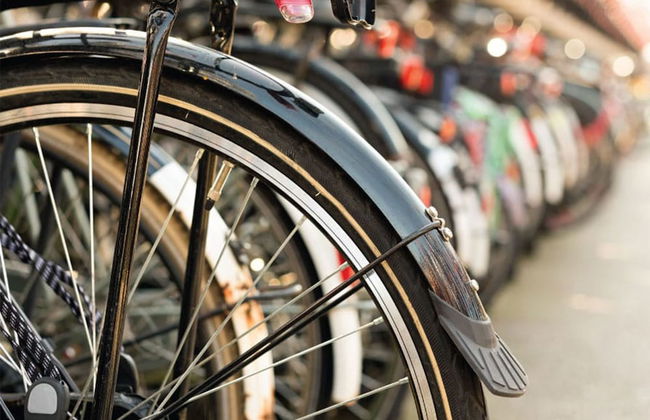 Grand Polanco Residencial - Foto 24