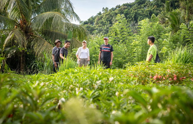 Kaura Bali - Foto 29