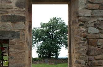 Domaine les Pierres - Foto 49