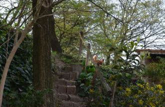 Agriturismo Dondino - Foto 35