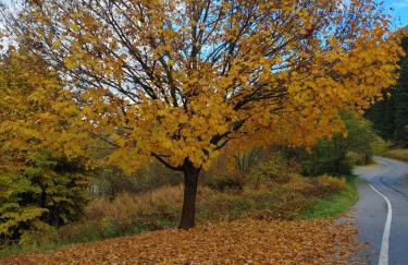 Appartamento Al Brenz - Foto 42